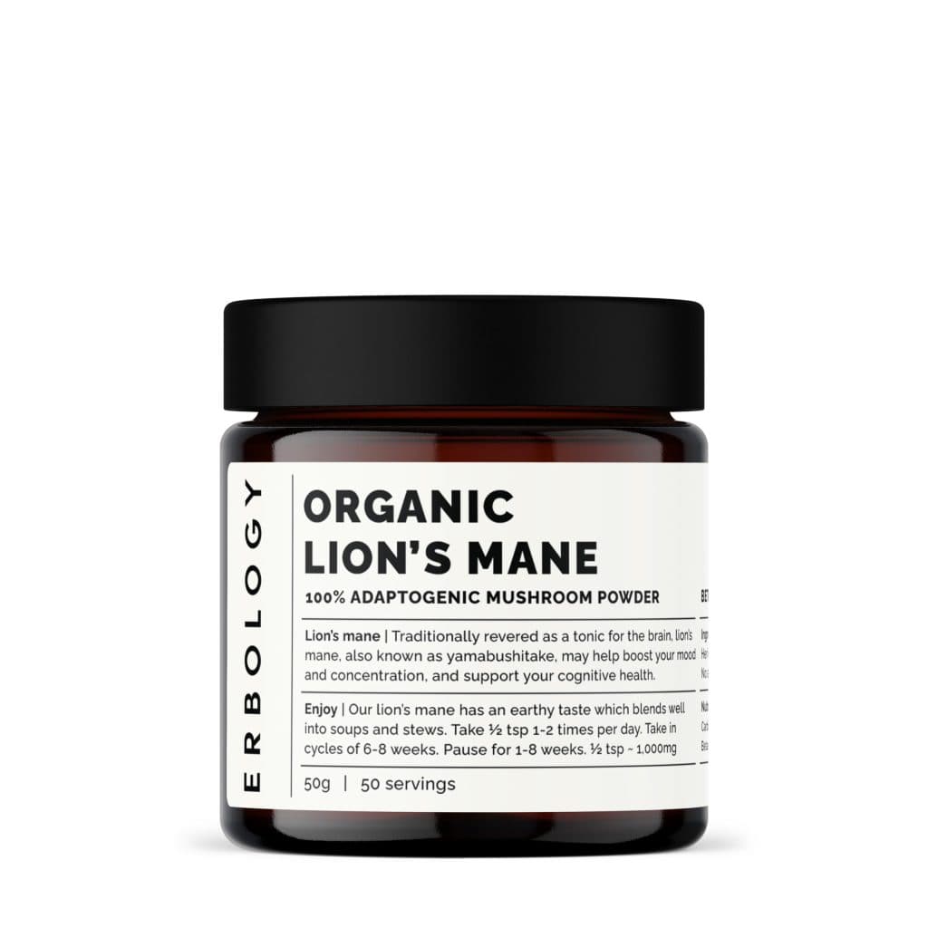 Lion's Mane. Lífrænn og öflugur fyrir heila og gegn kvíða og streitu