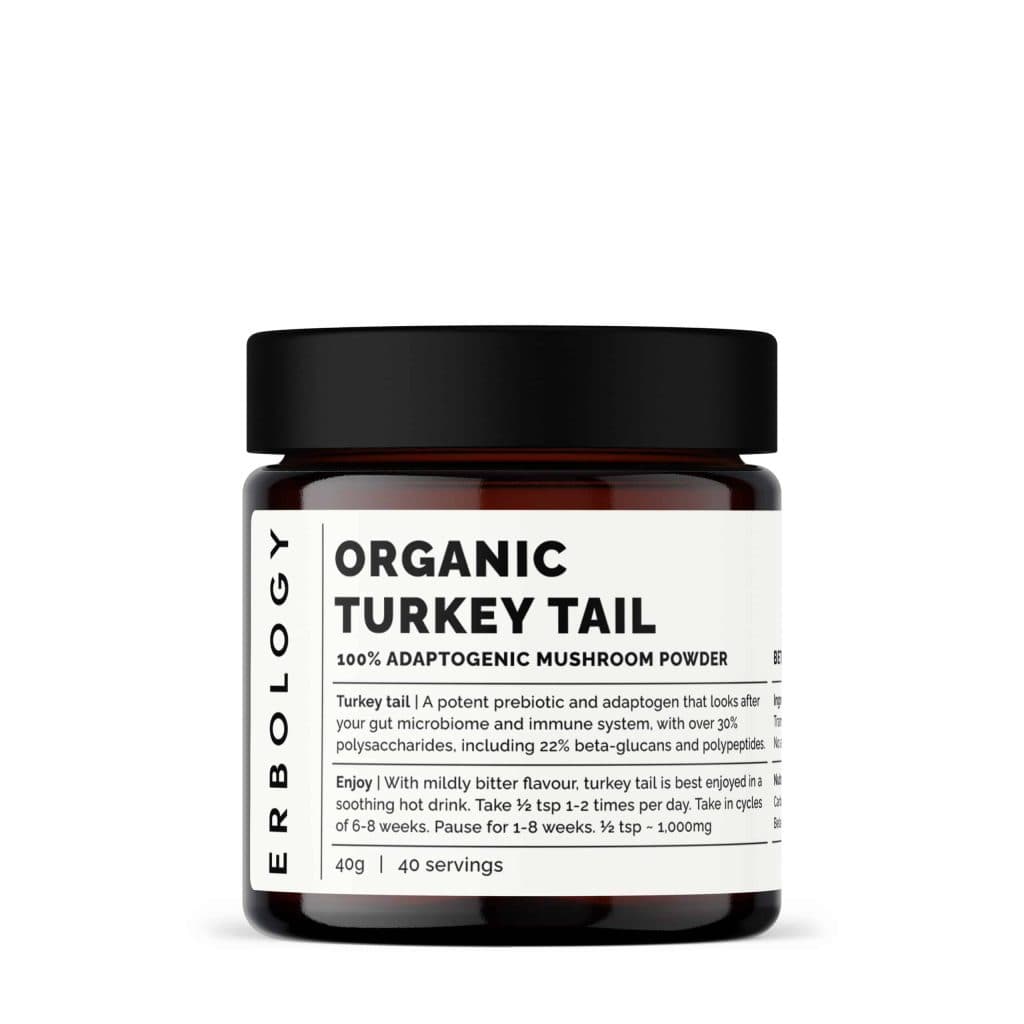 Turkey Tail - lífrænn fyrir góða meltingarheilsu