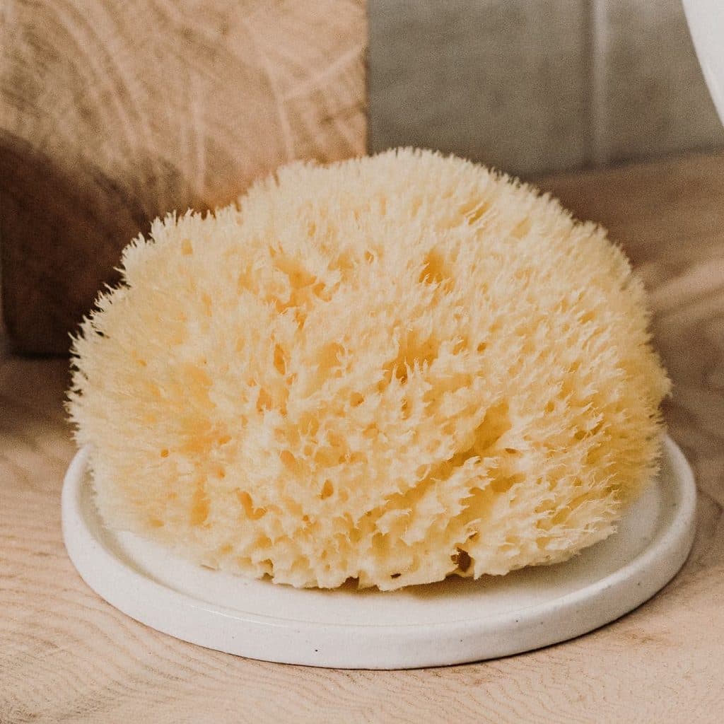 Lúxus sjávarsvampur fyrir líkama og sál. Stór stærð, sá stærsti!