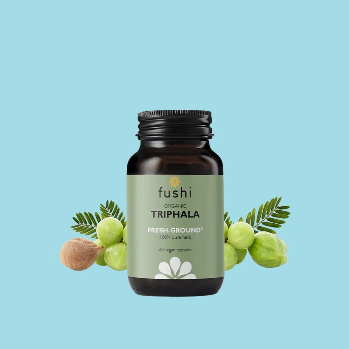 Ayurveda vörur