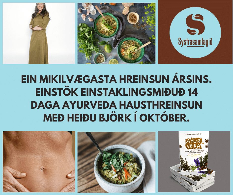 FULLBÓKAÐ. Mikilvægasta hausthreinsun ársins. Einstök einstaklingsmiðuð 14 daga Ayurvedahreinsun með Heiðu Björk í október