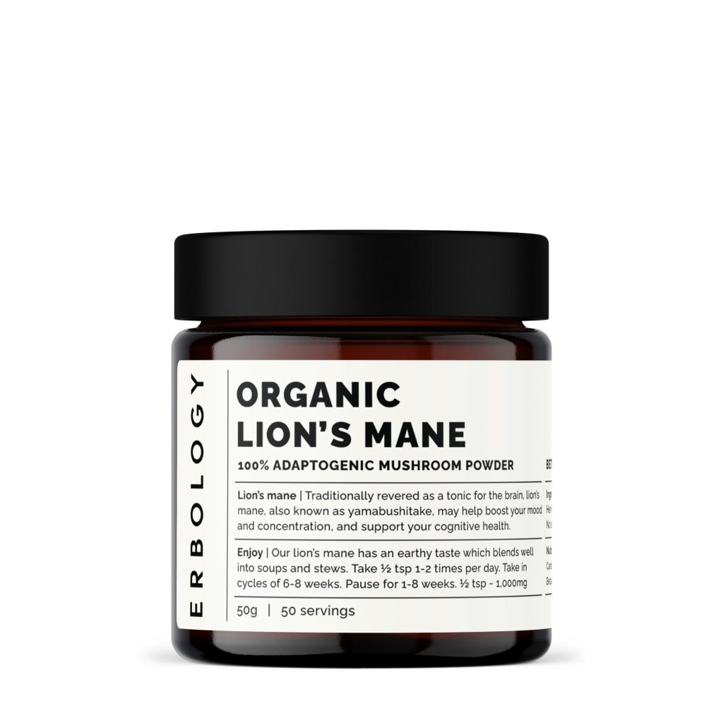 Lion's Mane. Lífrænn og öflugur fyrir heila og gegn kvíða og streitu